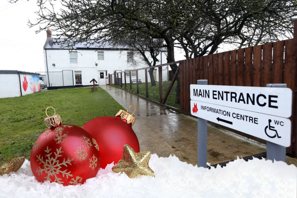 Durham Dogs & Cats Home Entrance